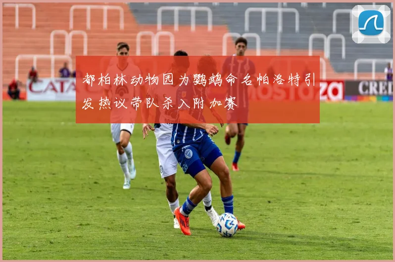 都柏林动物园为鹦鹉命名帕洛特引发热议带队杀入附加赛